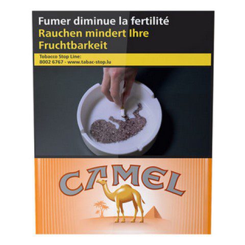 illustration pour Camel Orange